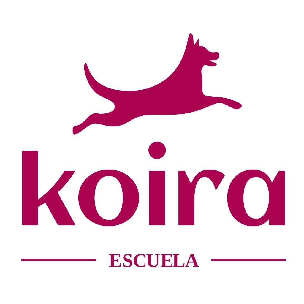 Adiestramiento Canino Valencia